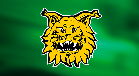 Ilves – FC Haka